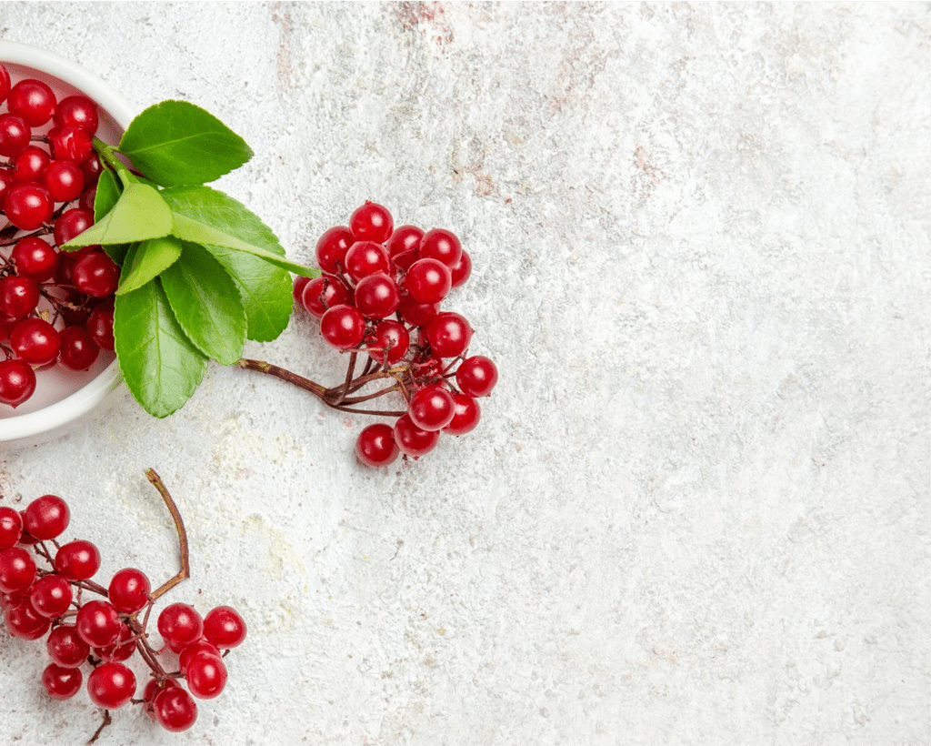 【活出硕果之爱】3蔓越莓 和平