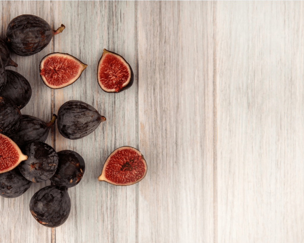 【活出硕果之爱】4 无花果 忍耐